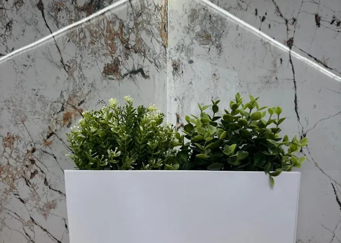 דירה House טיצ'י